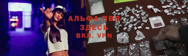 ГАЛЛЮЦИНОГЕННЫЕ ГРИБЫ Верея